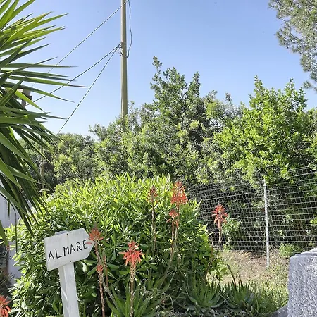 Lägenhet La Scogliera Trilo Alma Casa Morcone